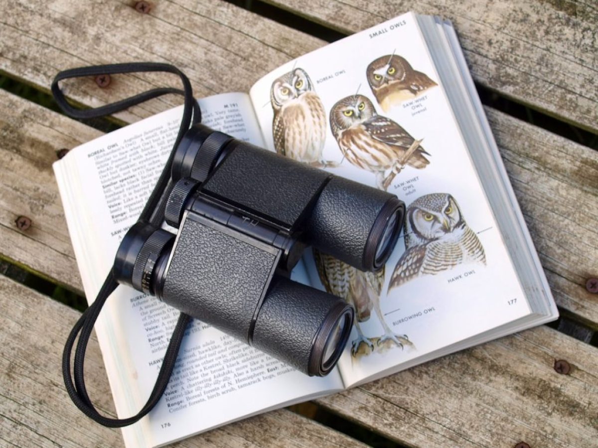 12 χόμπι που μπορείς να κάνεις από το σπίτι